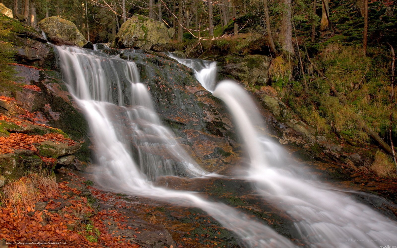 Forest waterfall in autumn