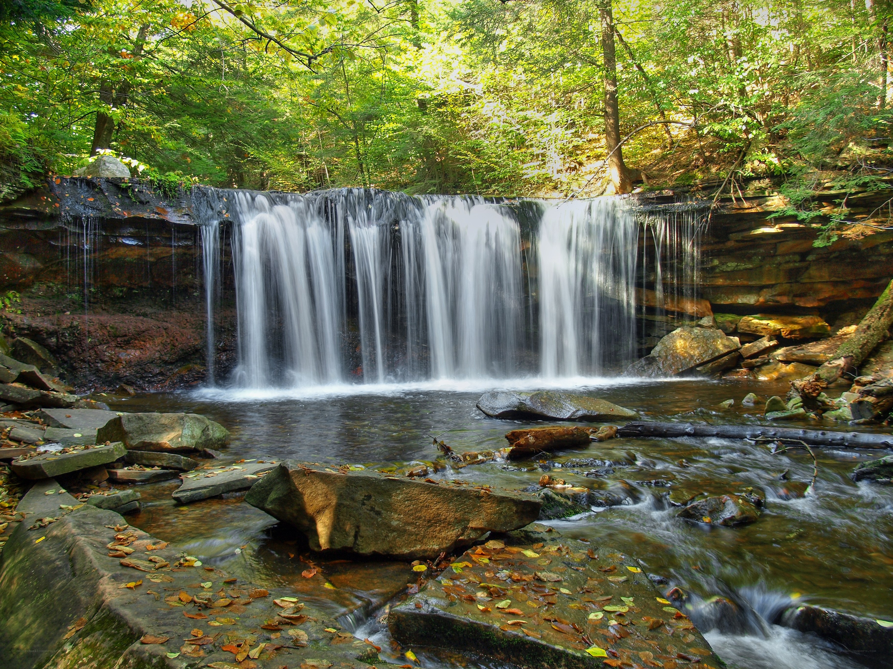 Forest waterfall in autumn