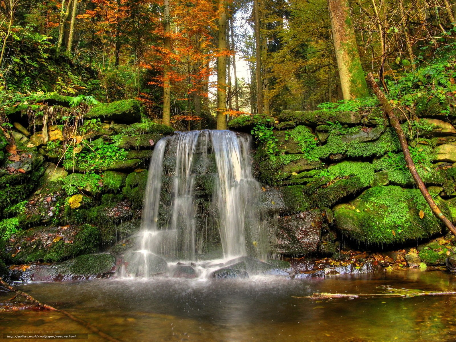 Forest waterfall in autumn