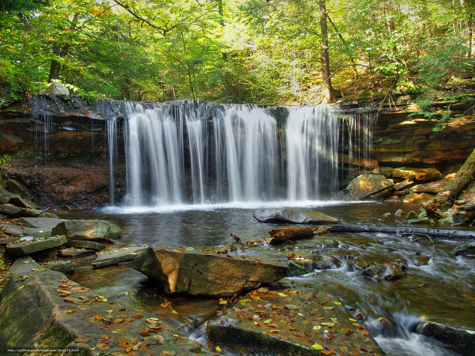 Forest waterfall in autumn