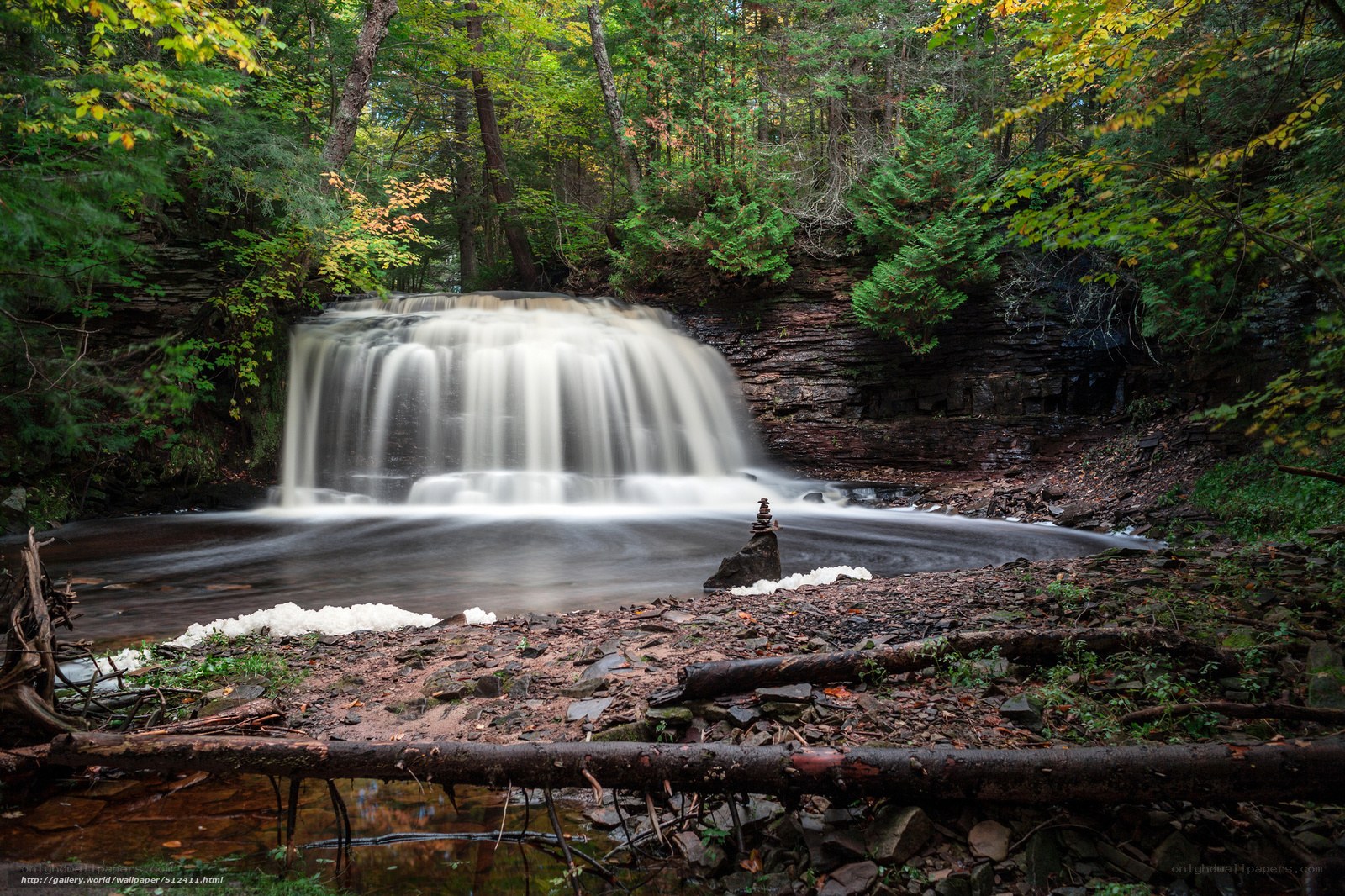 Forest waterfall in autumn