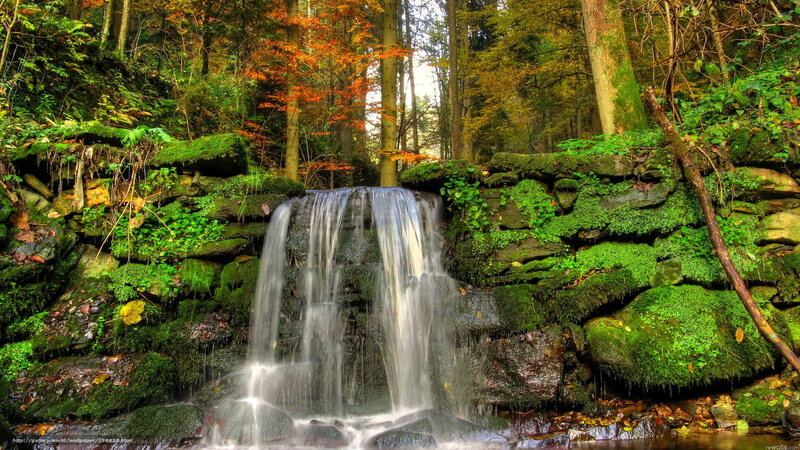 Forest waterfall in autumn
