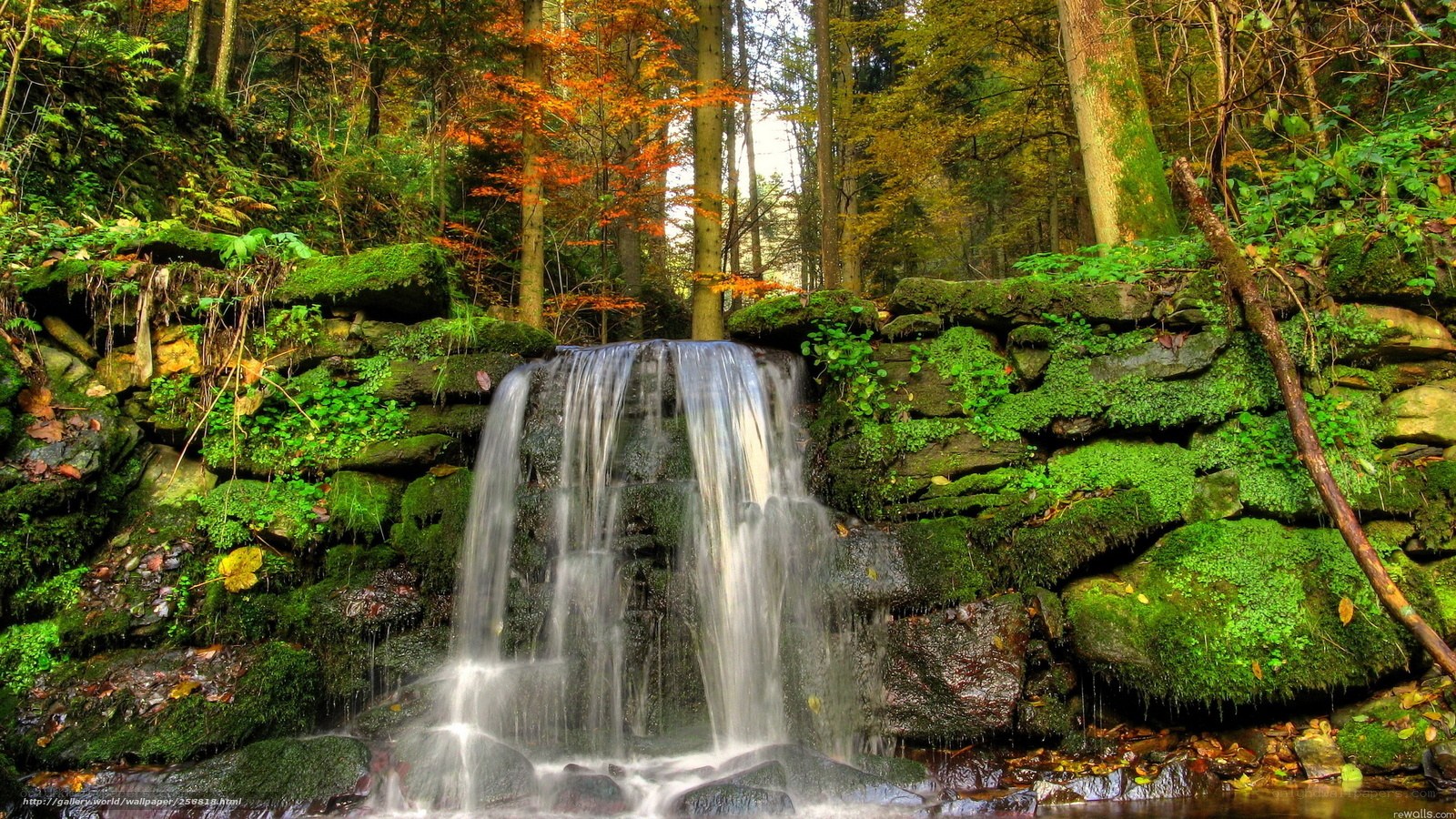 Forest waterfall in autumn