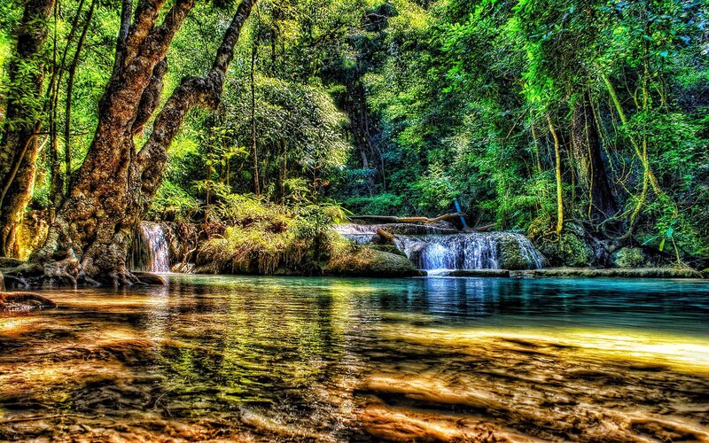 Forest waterfall in lush greenery