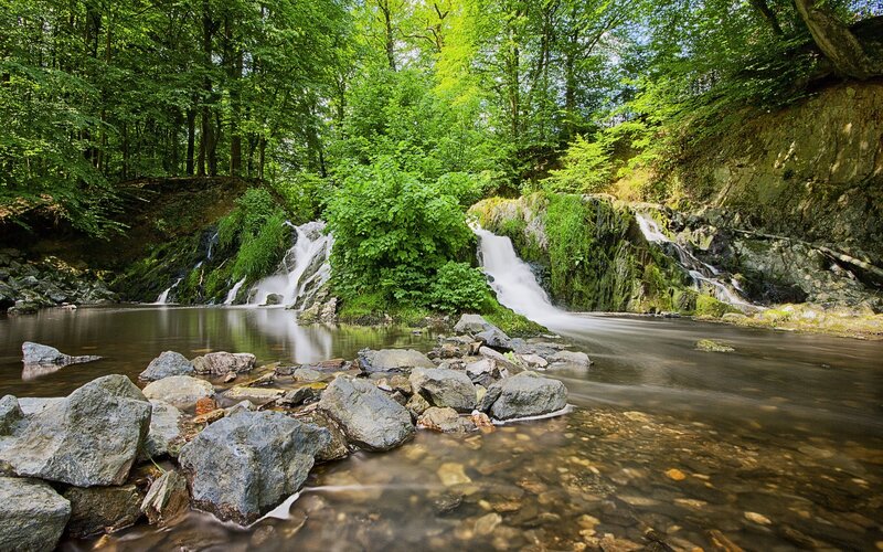 Forest waterfall in lush greenery