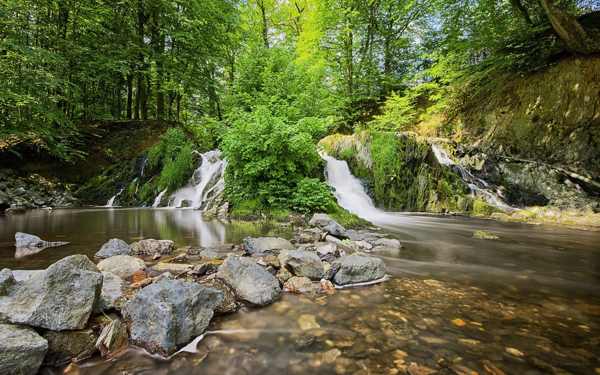 Forest waterfall in lush greenery