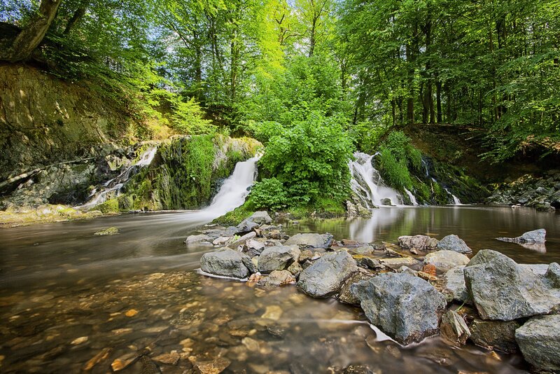 Forest waterfall in summer