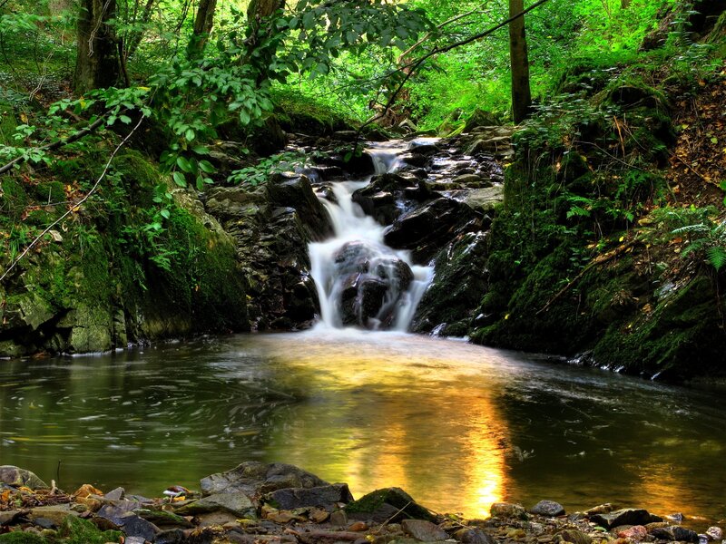Forest waterfall in sunlight
