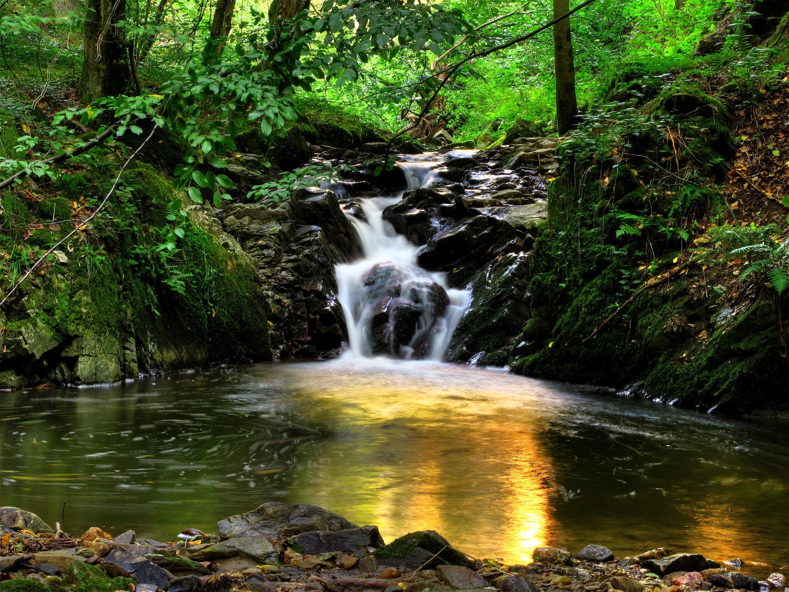 Forest waterfall in sunlight