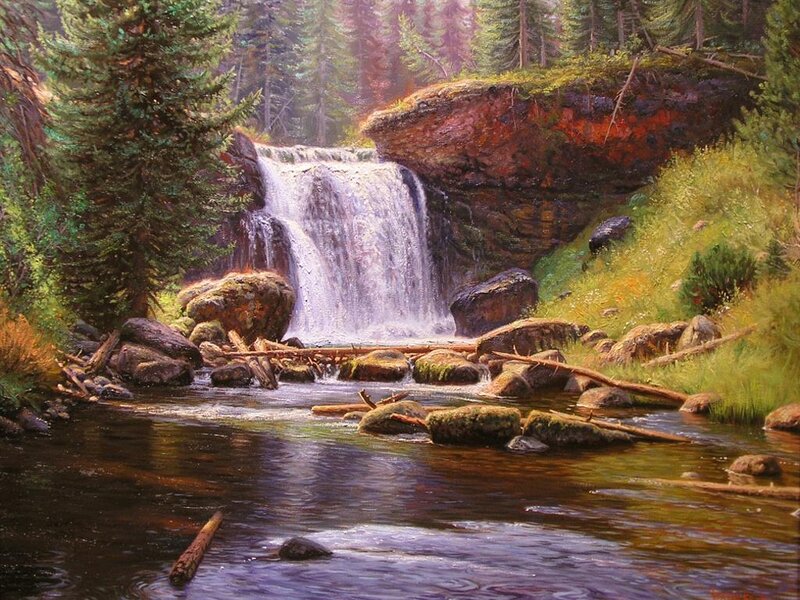 Forest waterfall landscape