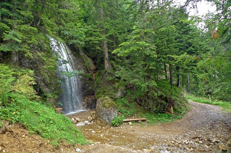 Forest waterfall on a dirt path