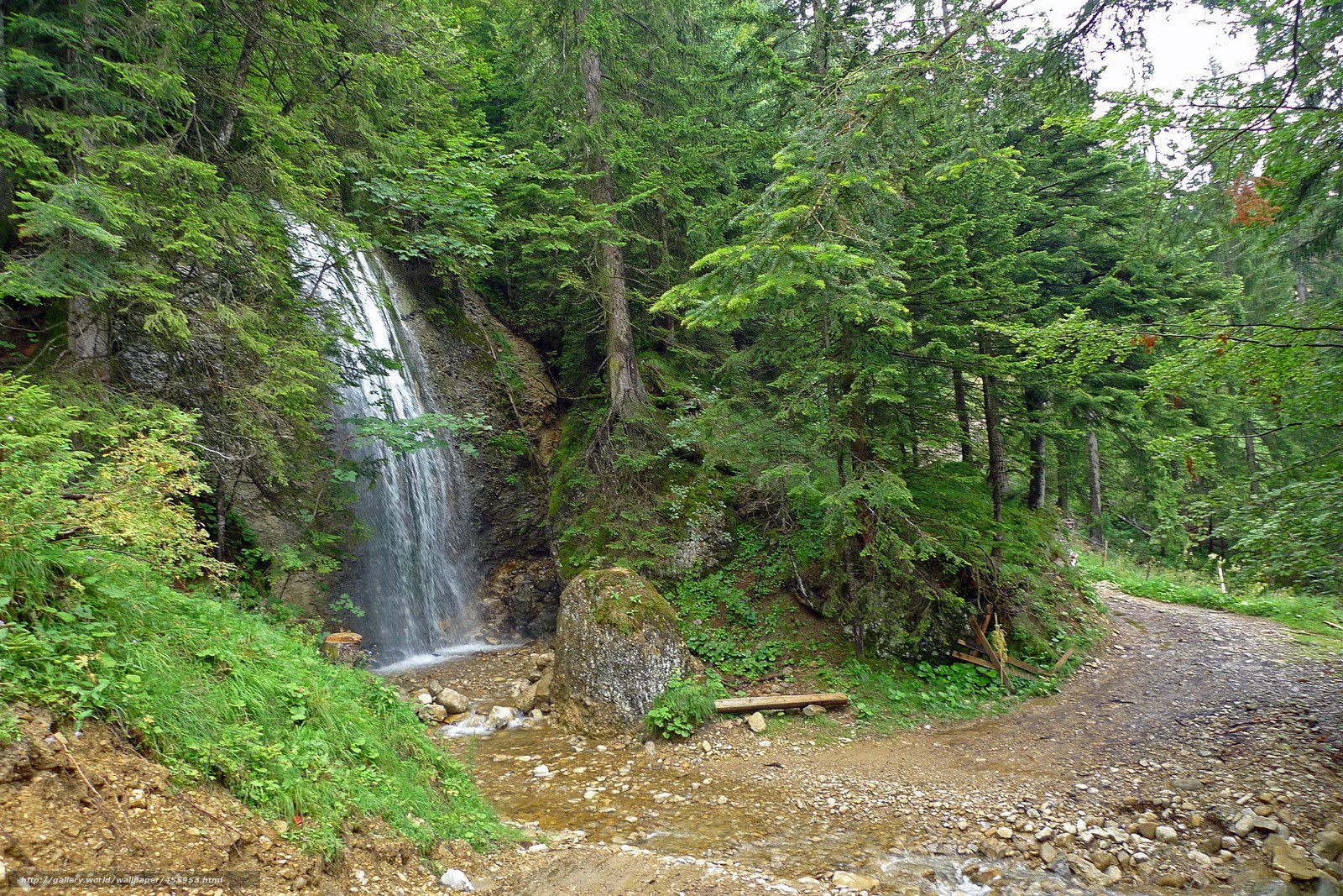 Forest waterfall on a dirt path