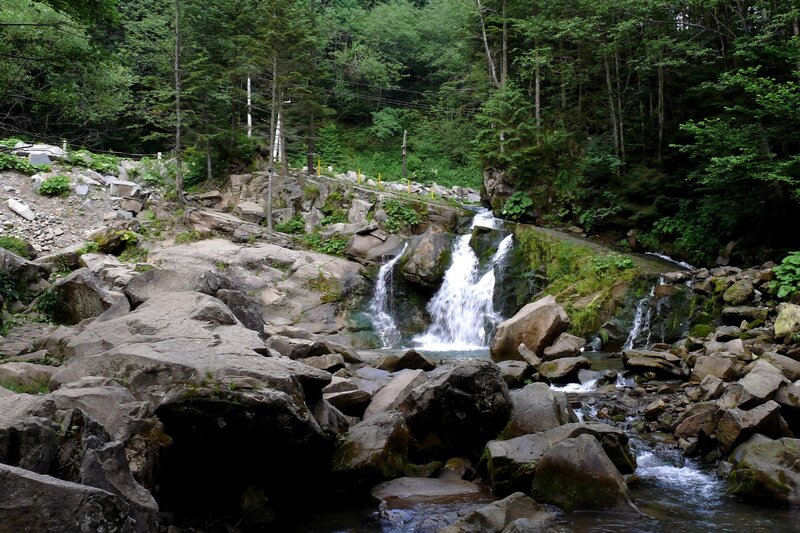 Forest waterfall on rocky stream