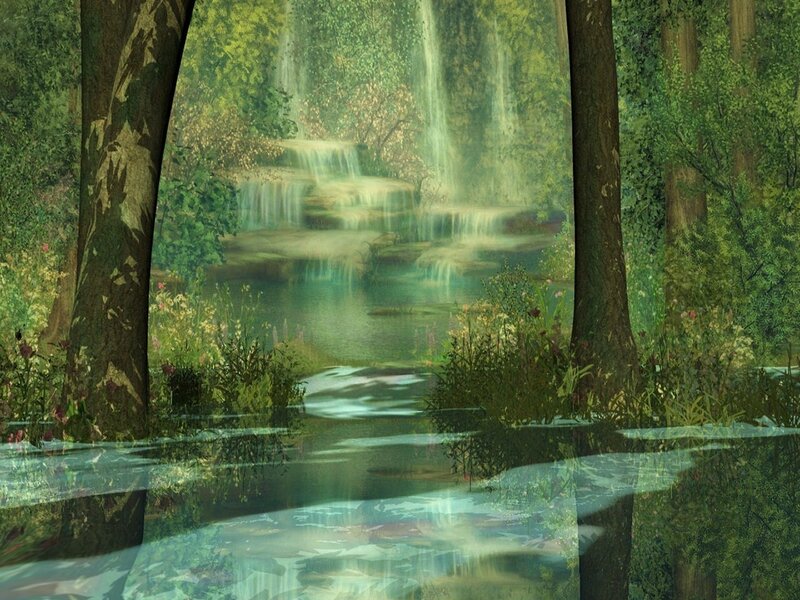 Forest waterfall scene