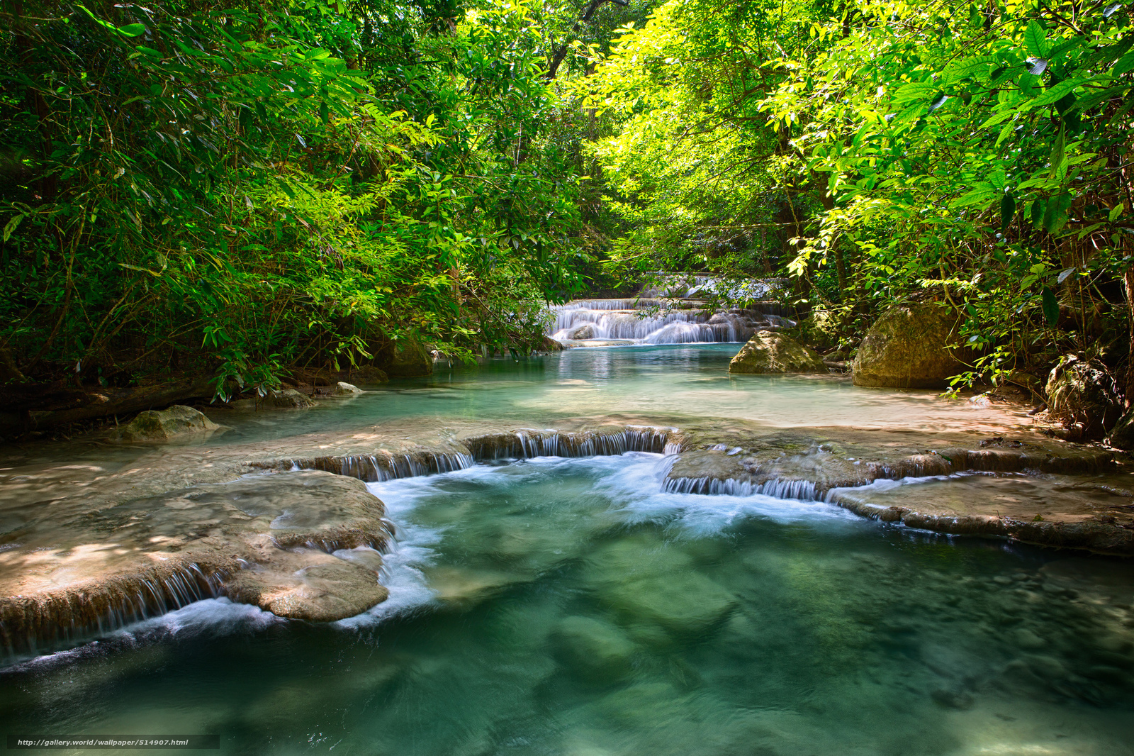 Forest waterfall stream