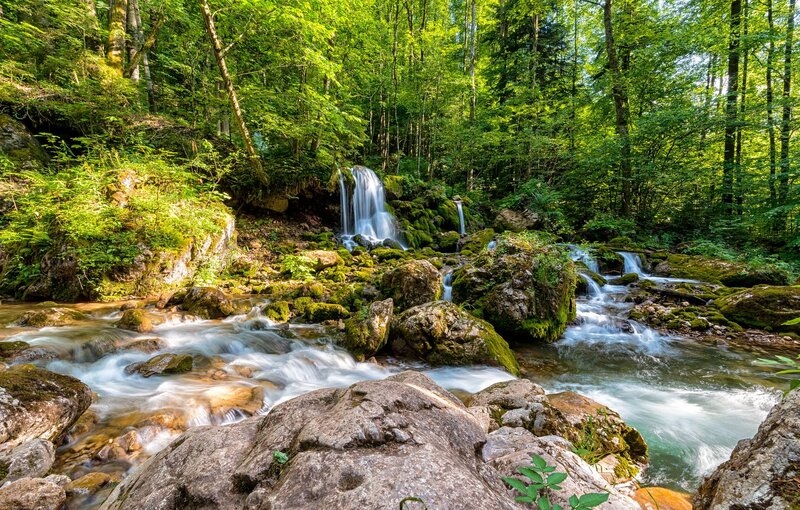 Forest Waterfall Stream — Green, Serene, Afternoon