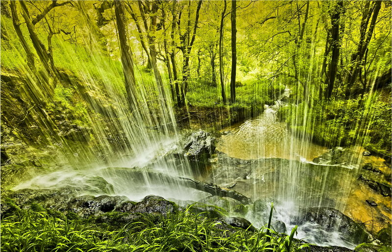 Forest Waterfall Stream — Green, Serene, Morning
