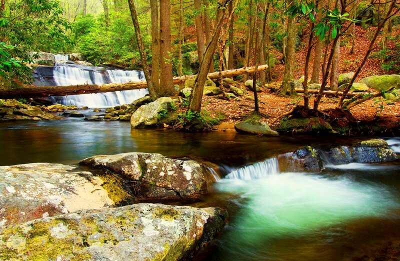 Forest Waterfall Stream — Green, Serene, Spring