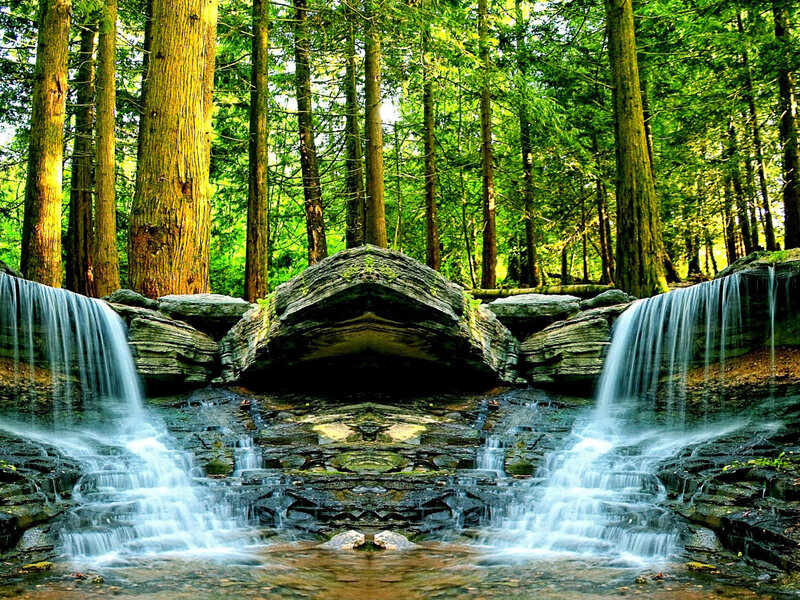 Forest Waterfall