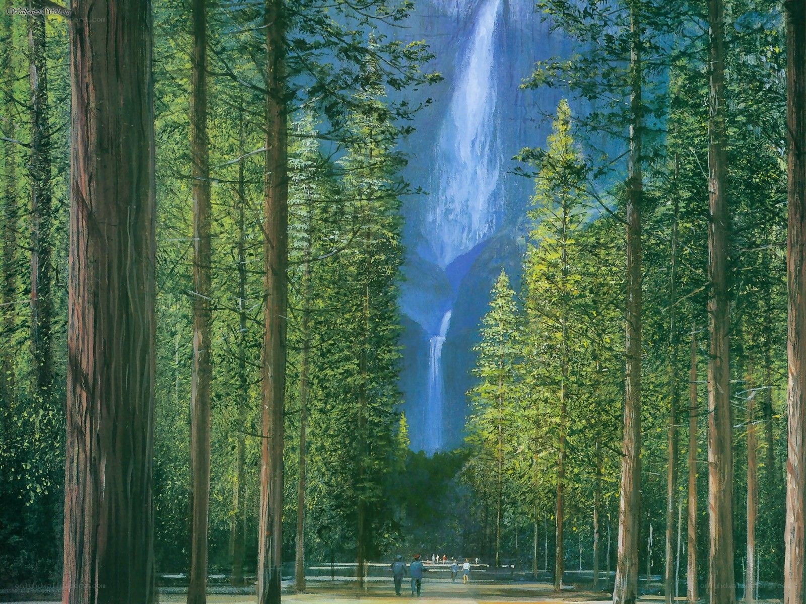 Forest waterfall vista