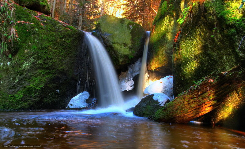Forest waterfall with mossy rocks