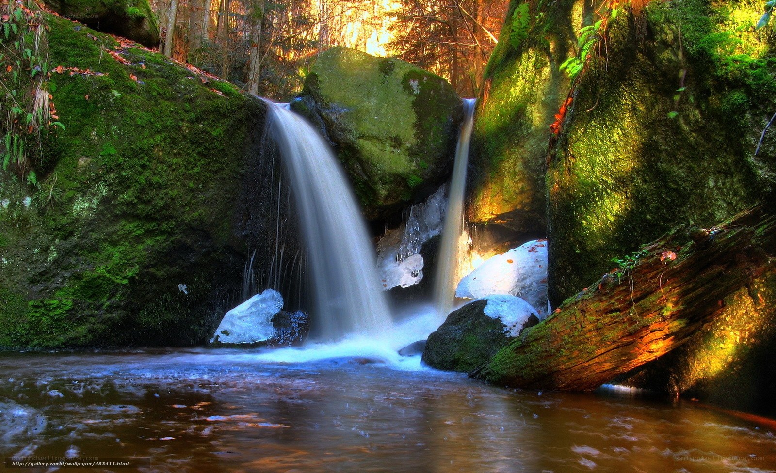 Forest waterfall with mossy rocks