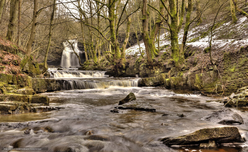Forest waterfall with snow