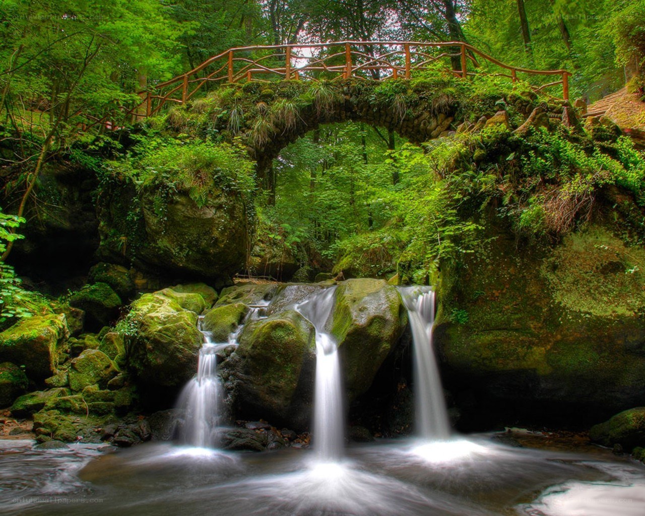 Forest waterfall with stone bridge
