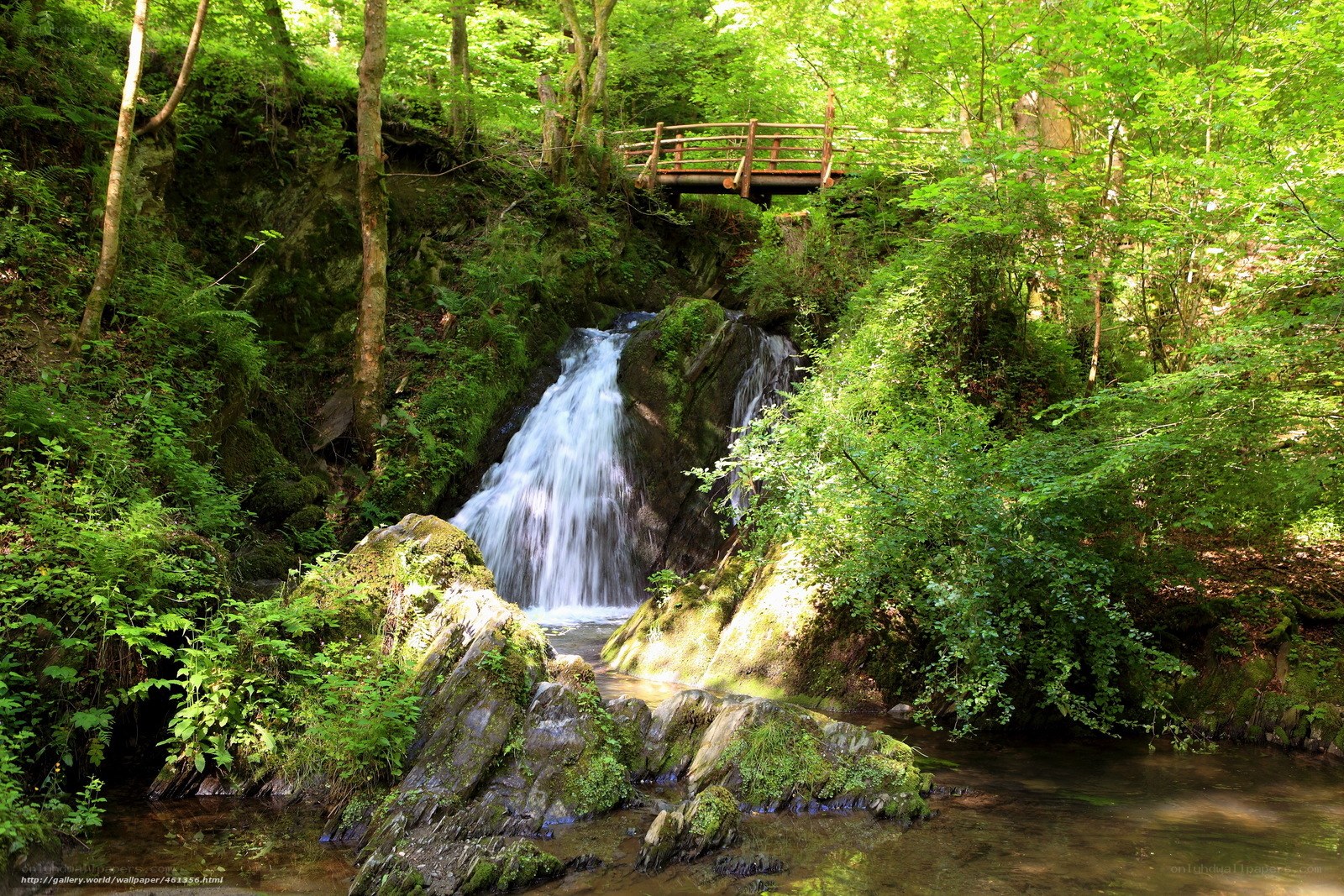 Forest waterfall with wooden bridge
