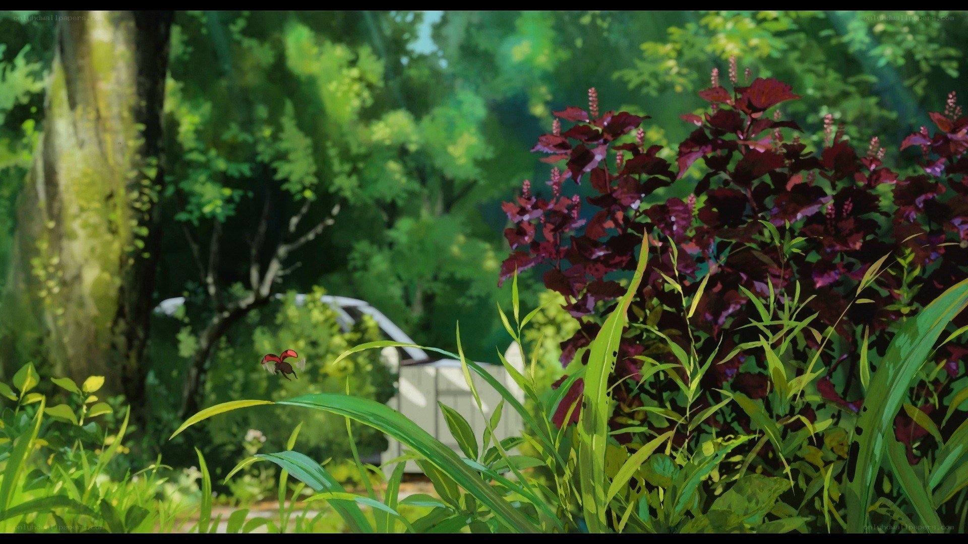 Forest with butterfly and plants