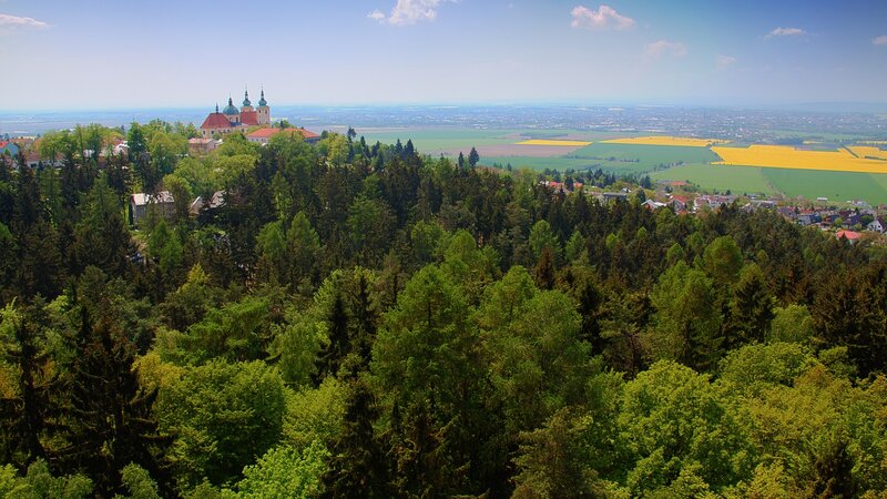 Forest with Church