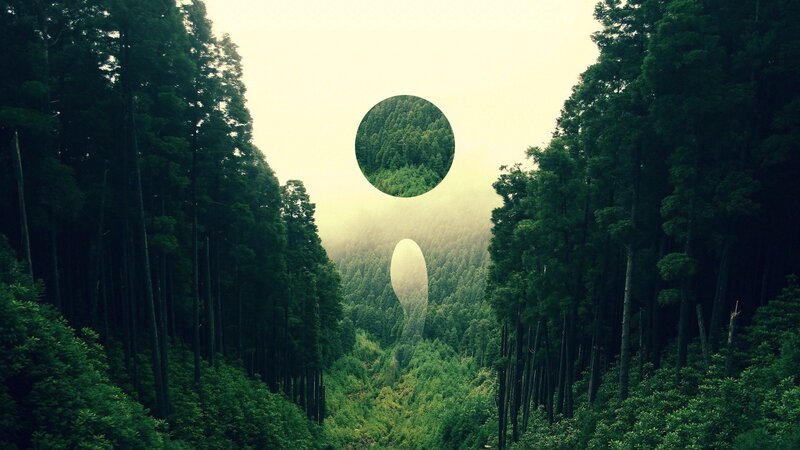 Forest with Circular Cutout