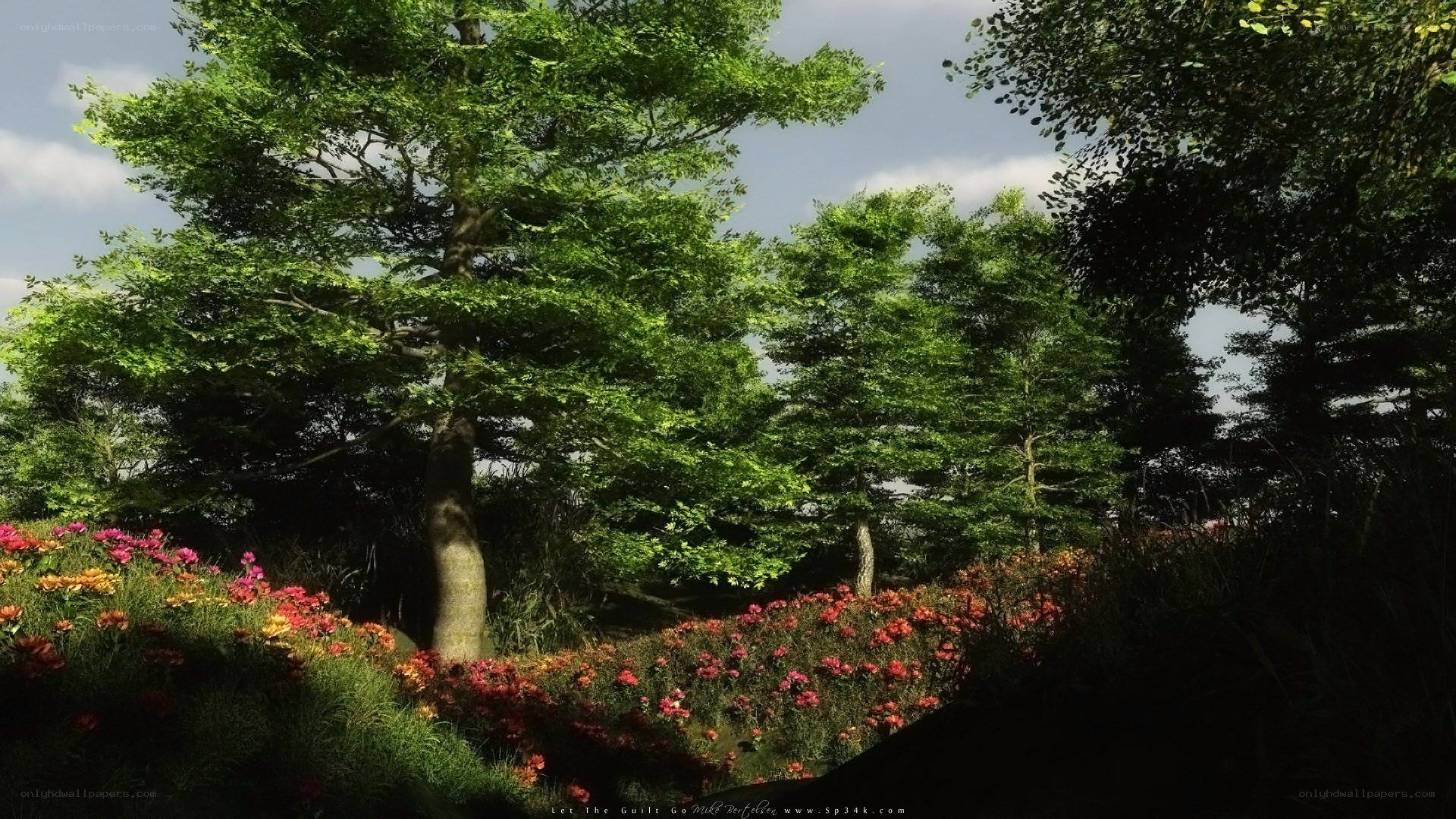 Forest with colorful flowers