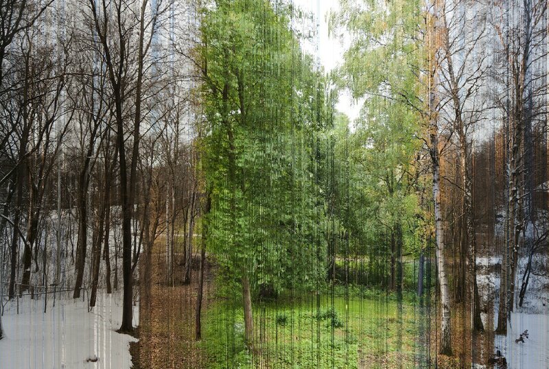 forest with digital distortion