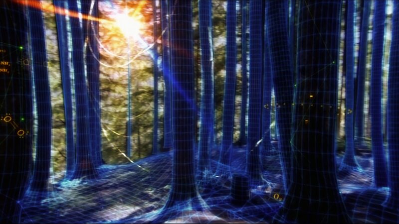 Forest with Digital Overlay