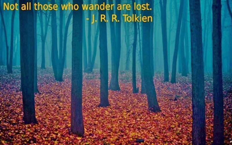 Forest with Fallen Leaves — Blue