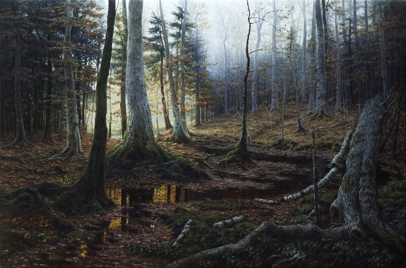 Forest with Fallen Trees