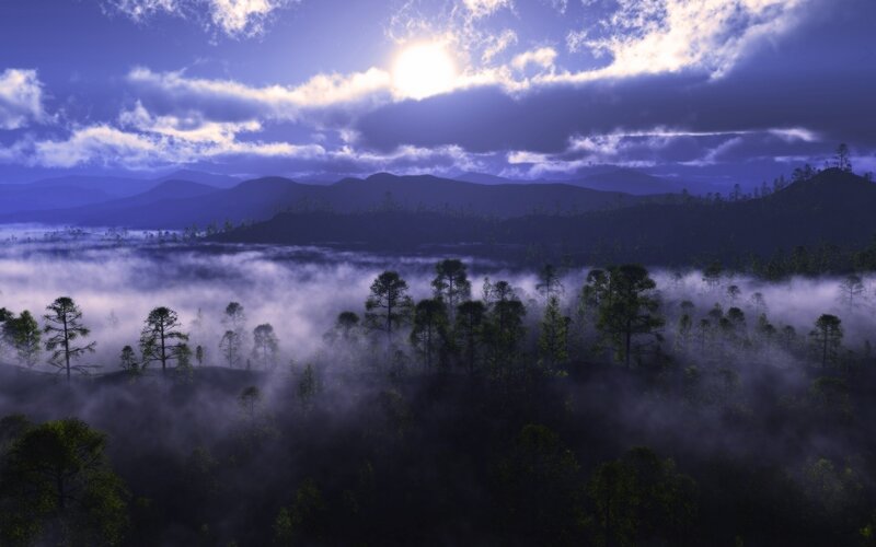 Forest with Fog and Mountains — Purple, Serene