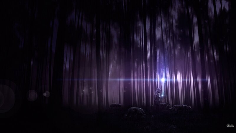 Forest with glowing light