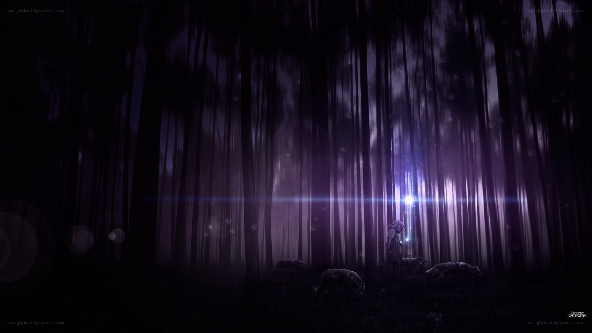 Forest with glowing light