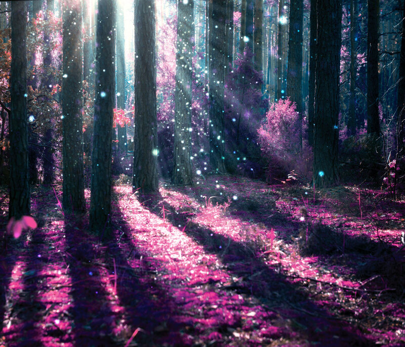 Forest with Glowing Particles