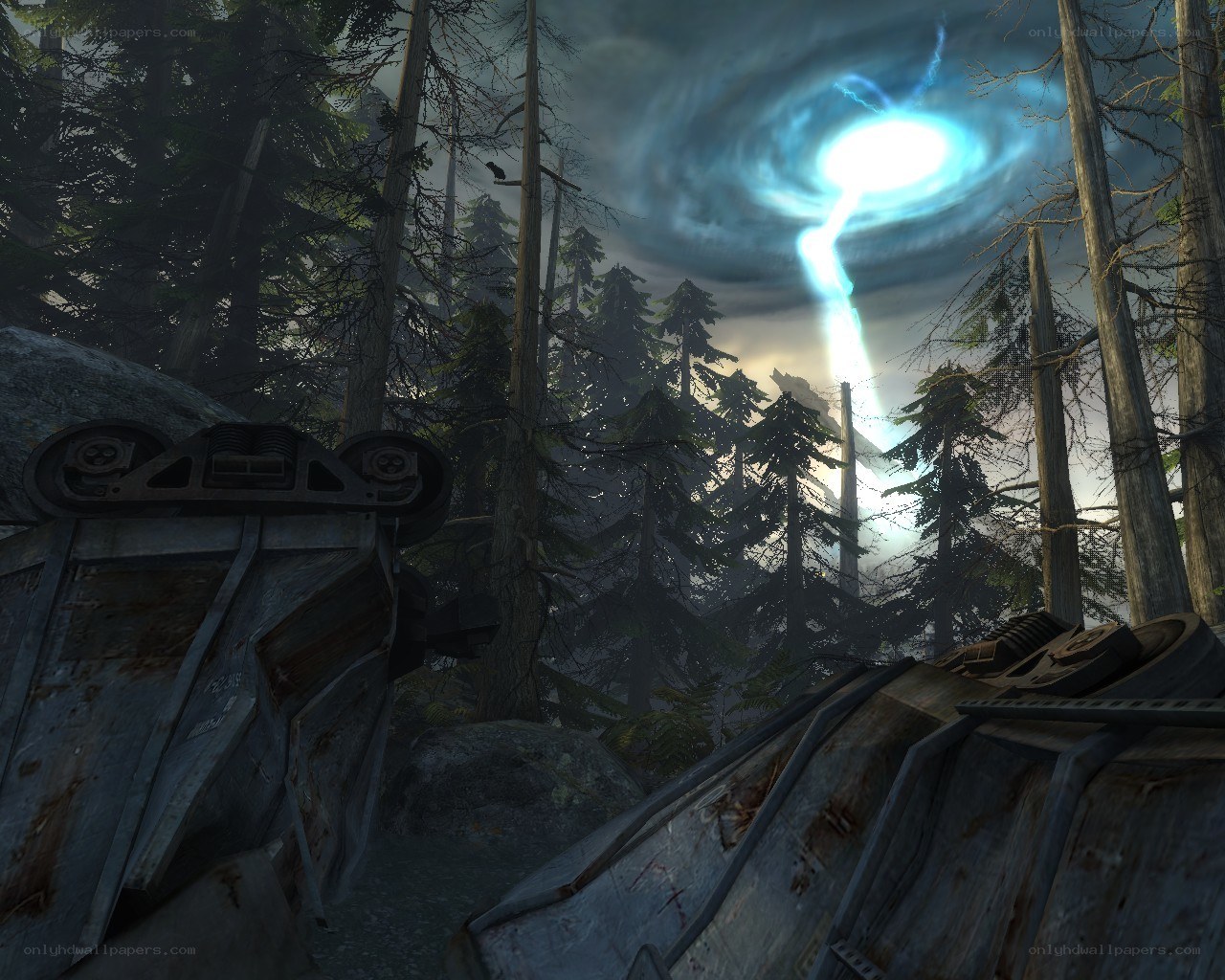 Forest with glowing portal