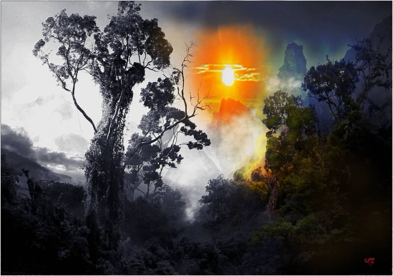 Forest with Glowing Sun