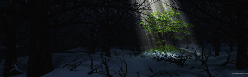 forest with glowing tree