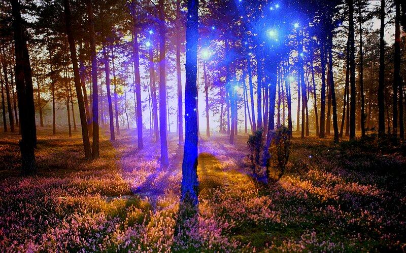 Forest with Glowing Trees — Blue
