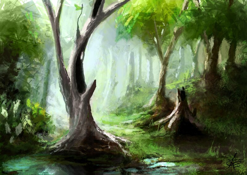 Forest with Large Trees — Green, Serene