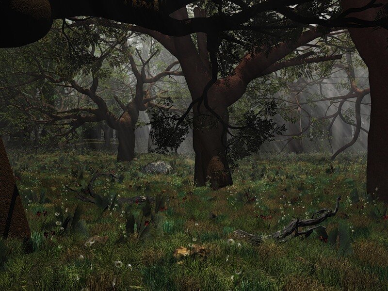 Forest with Large Trees — Green