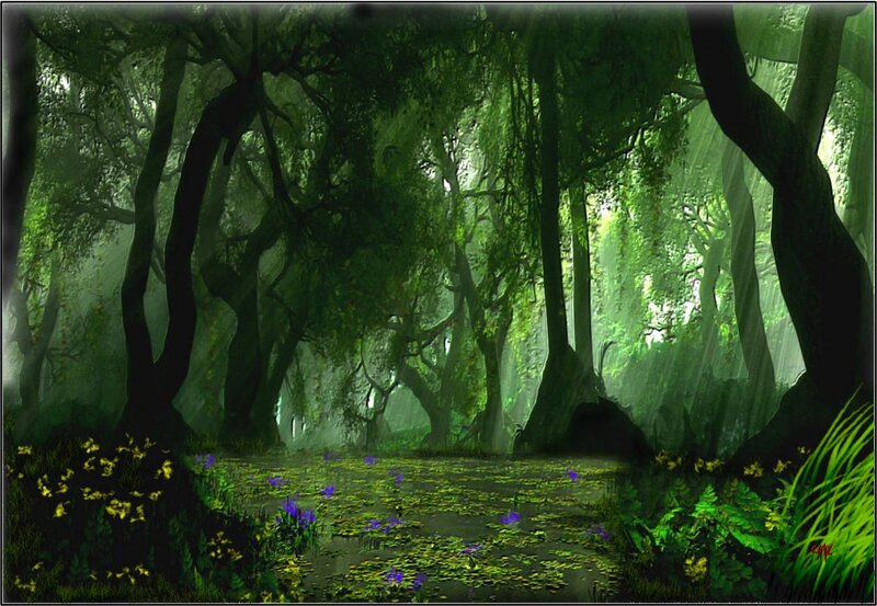 Forest with Lily Pads