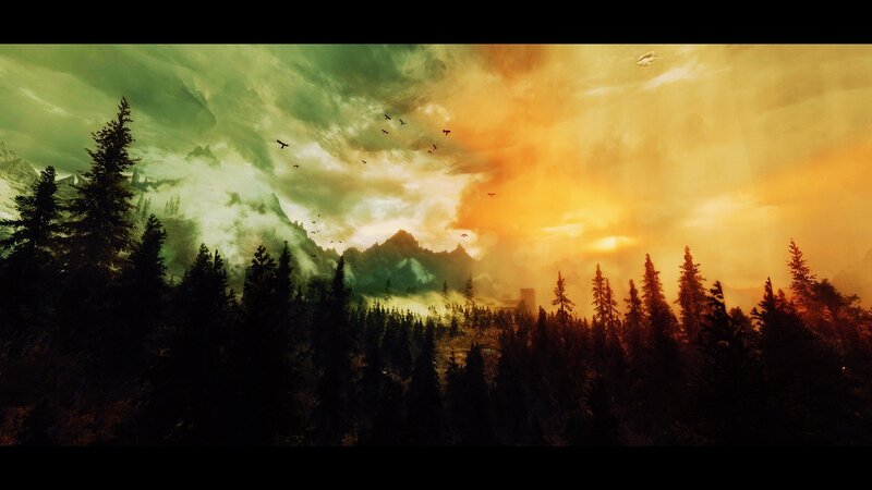 Forest with Mountains