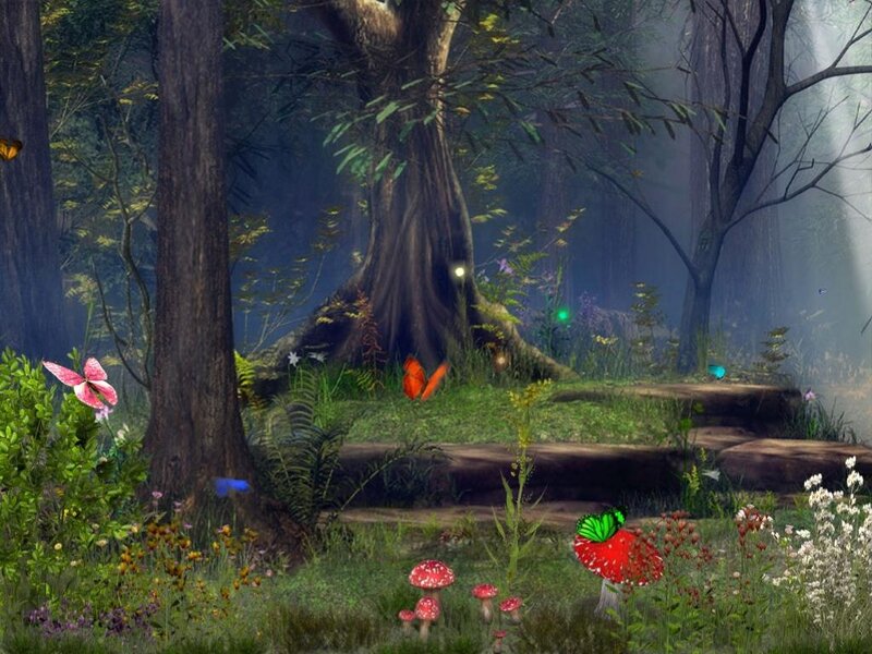 Forest with Mushrooms